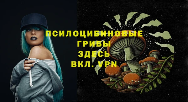 меф Медногорск