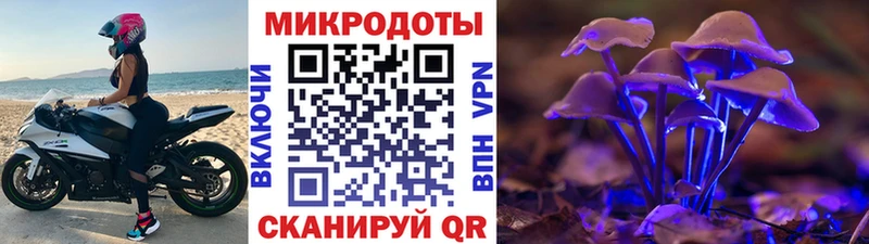 закладки  МЕГА как зайти  Псилоцибиновые грибы мицелий  Нижние Серги 